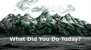 What Did You Do Today?